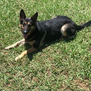 Meet your Posher, Kris